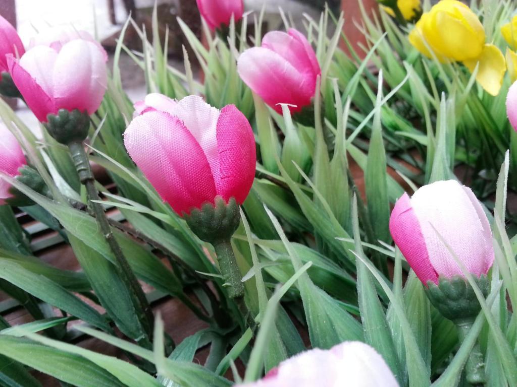 Pink Tulip Hotel Ho Si Minh-város Kültér fotó